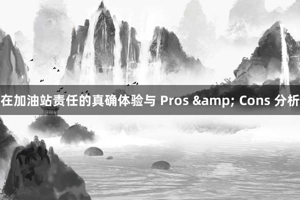 在加油站责任的真确体验与 Pros & Cons 分析